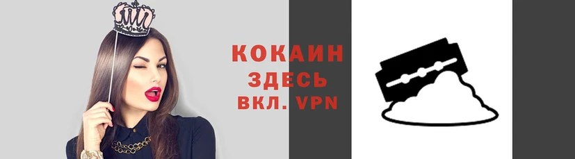 стаф Данков