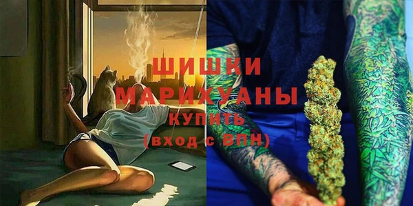 стаф Данков