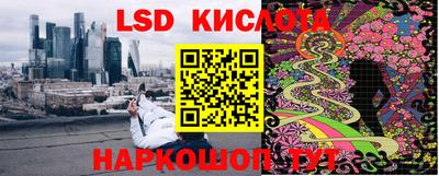 прущие грибы Кандалакша