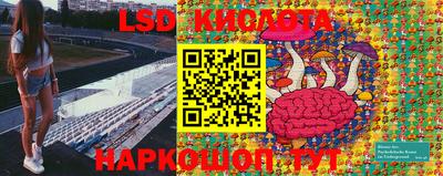 прущие грибы Кандалакша