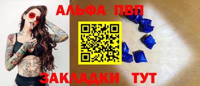 прущие грибы Кандалакша