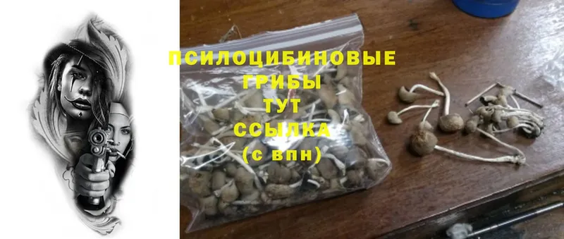 Псилоцибиновые грибы Psilocybe  hydra ССЫЛКА  Кубинка 