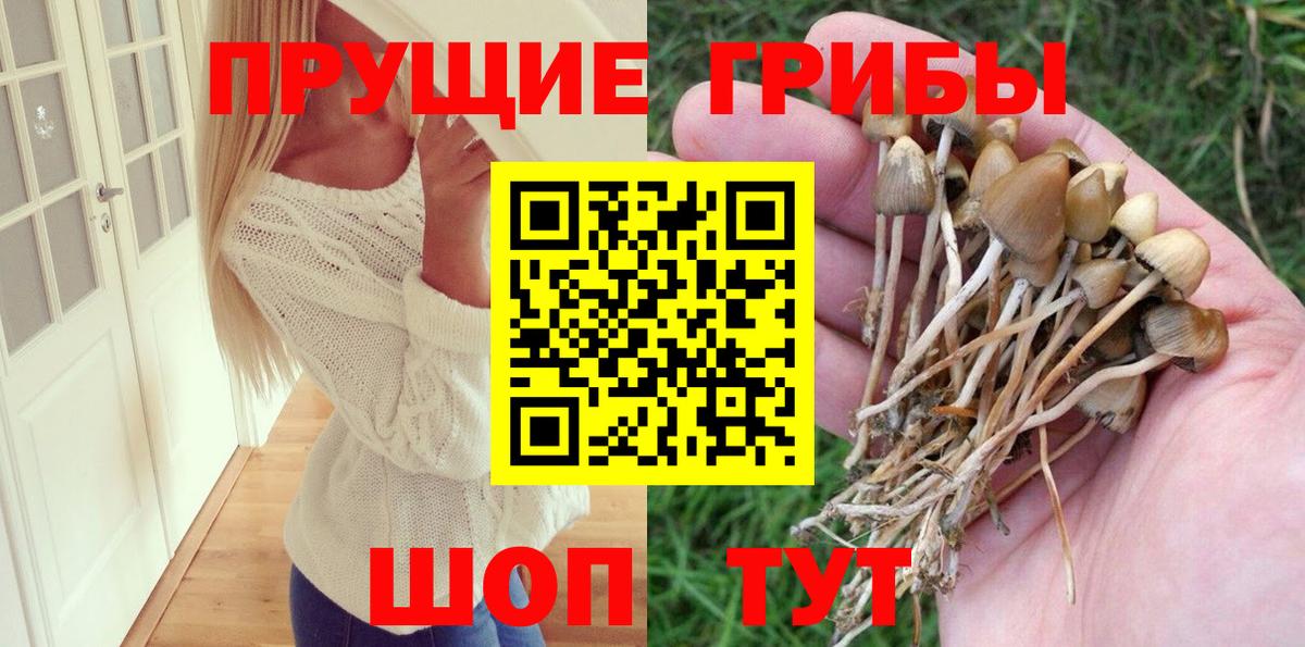 Псилоцибиновые грибы прущие грибы  Вход с VPN  Кубинка 