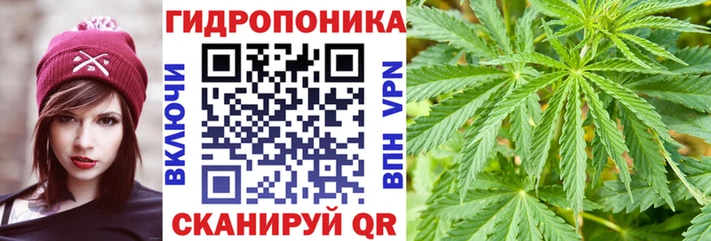 Бошки Шишки SATIVA & INDICA  Кубинка 